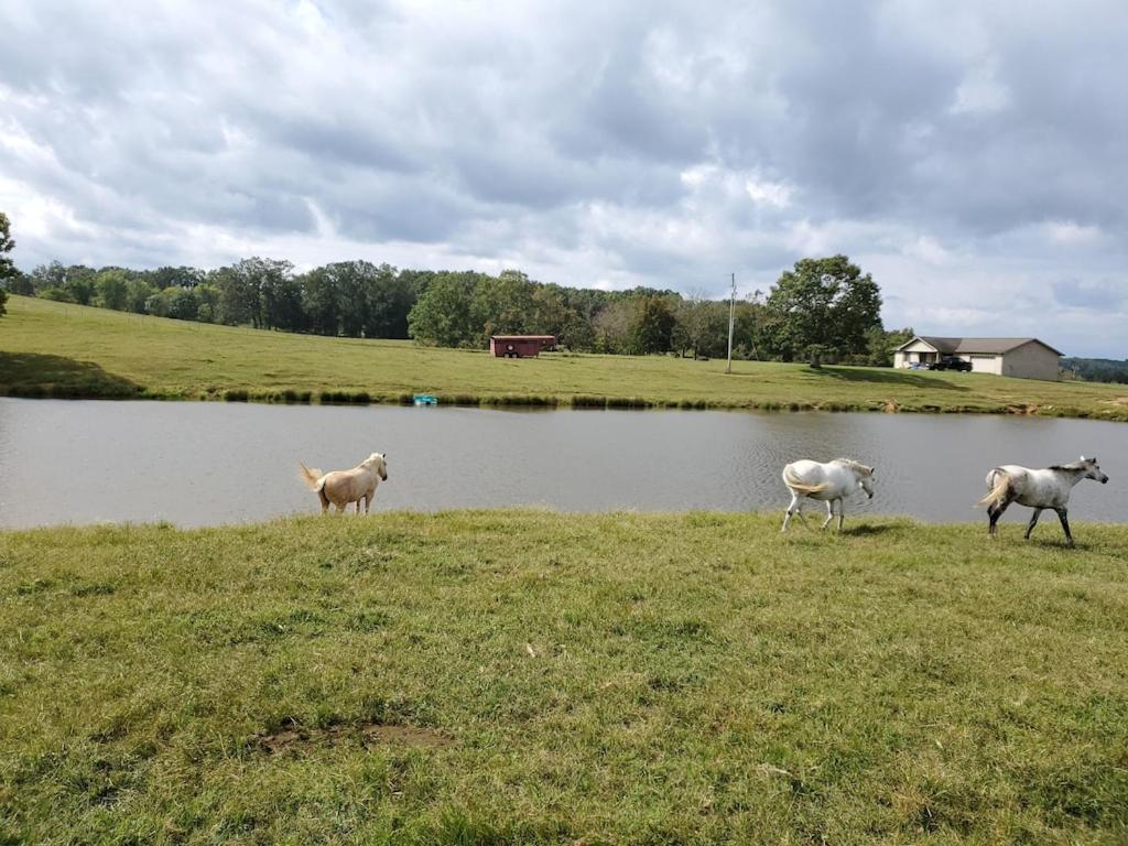 Secluded House On 60 Acres Close To Fall Creek Falls Pikeville Exteriör bild